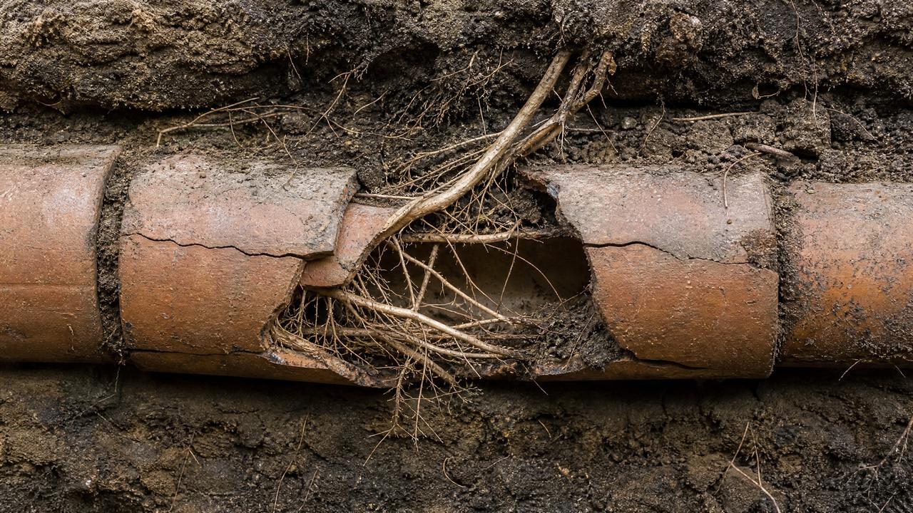 Close-up cross-section view of an old clay sewer pipe underground showing tree root intrusion and cracks common in older San Antonio homes